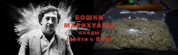 молекула духа Козловка