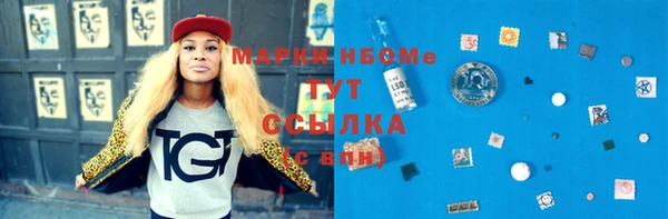 дживик Козельск