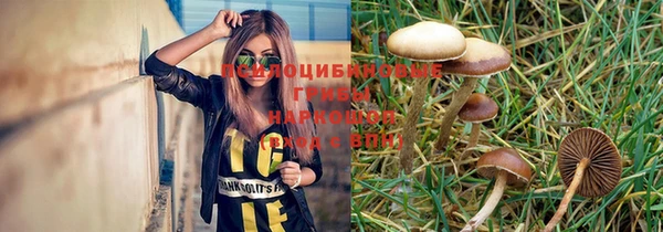 дживик Козельск