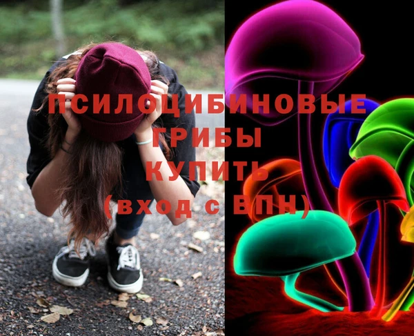 молекула духа Козловка