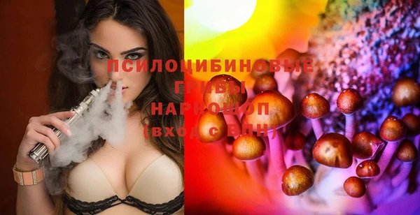 молекула духа Козловка