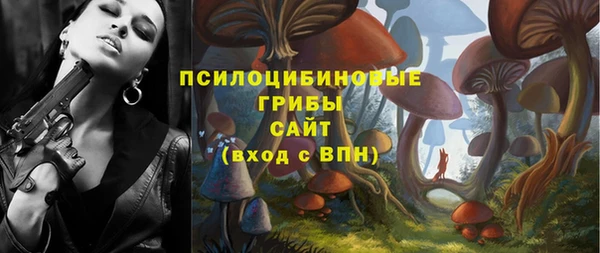 молекула духа Козловка