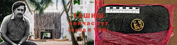 молекула духа Козловка