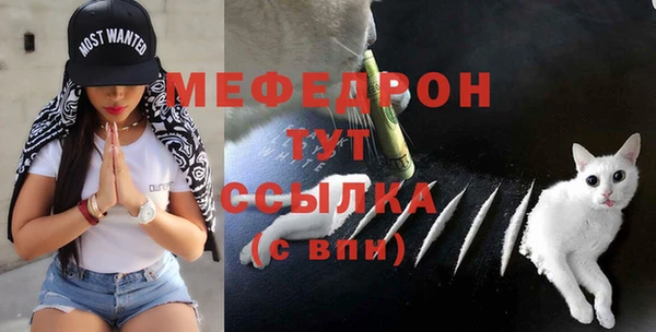 молекула духа Козловка